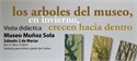 Visita Didáctica "LOS ARBOLES DEL MUSEO, EN INVIERNO, CRECEN HACIA DENTRO" (NUEVA VISITA 16 DE MARZO)