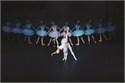 EL LAGO DE LOS CISNES. The Russian Classical Ballet (ENTRADAS AGOTADAS)
